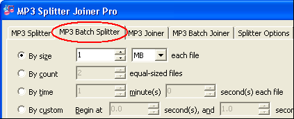 Click tab "MP3 Batch Splitter"